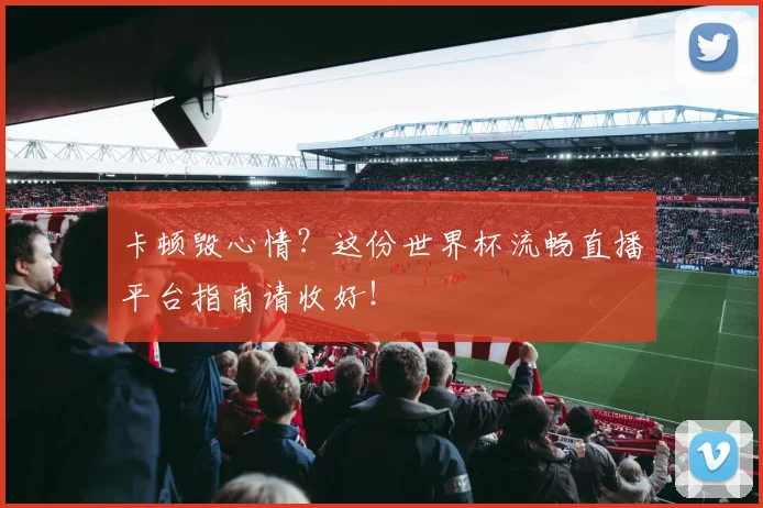 卡顿毁心情？这份世界杯流畅直播平台指南请收好！